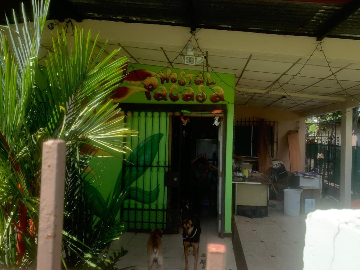 Pacasa Hostel David Exterior photo